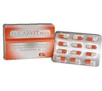 eccarvit Plus 12 Capsule