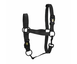 Eccellente Cavallo Essential Halter l Cob Nero 1 St