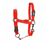 Eccellente Cavallo Essenziale Cavezza l Cob Rosso 1 St