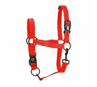 Eccellente Cavallo Premium Cavezza l Cob Rosso 1 St