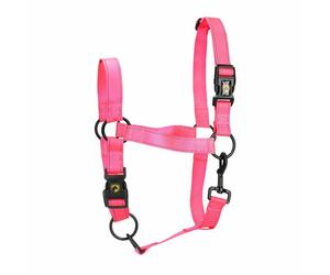 Eccellente Cavallo Premium Cavezza s Puledro Rosa 1 St