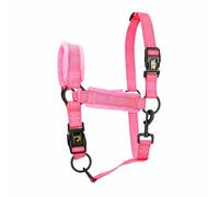 Eccellente Cavallo Superiore Cavezza l Cob Rosa 1 St