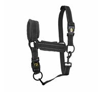 Eccellente Cavallo Superiore Cavezza s Puledro Nero 1 St