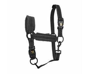 Eccellente Cavallo Superiore Cavezza xl Nera Completa 1 St
