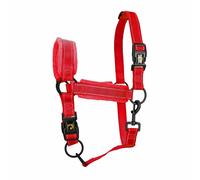 Eccellente Cavallo Superiore Cavezza xs Mini Puledro Rosso 1 St
