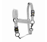 Eccellente Cavallo Superiore Halter l Cob Grigio 1 St