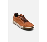 Ecco - Byway Tred M Marrone - Sneakers 43 Marrone