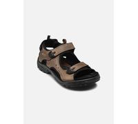 Ecco - Offroad Andes II M Marrone - Sandali e scarpe aperte 46 Marrone