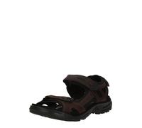 ECCO Sandalo da trekking 'Offroad' marrone scuro / nero Uomo ECCO 46 marrone scuro / nero