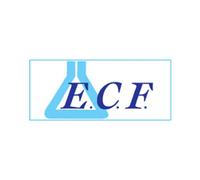 Ecf Energie Chimico Farm. LOZIONE ALL'ACIDO ACETICO 2% IGIENIZZANTE ACETIDINE SPRAY DA125ML