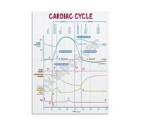 ECG Rhythm Guide Poster Physiology Training Wall-Art