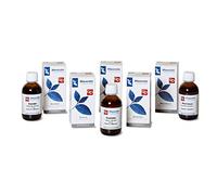 Echinacea 100ml Tm