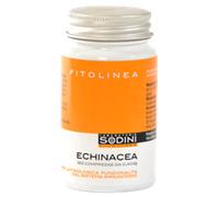 Echinacea 120 Compresse