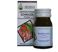 ECHINACEA 60 CAPSULE 500 MG