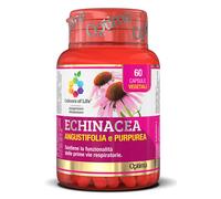 Echinacea 60cps Colours