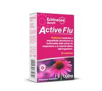 Echinacea Benefit Active Flu, 20 compresse
