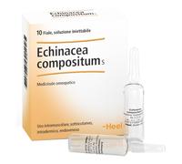 ECHINACEA COMP S 10F 2,2MLHEEL