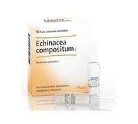 ECHINACEA COMP S 10F 2,2MLHEEL