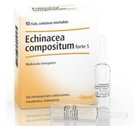 HEEL ECHINACEA COMPOSTA S FORTE 10 FIALE