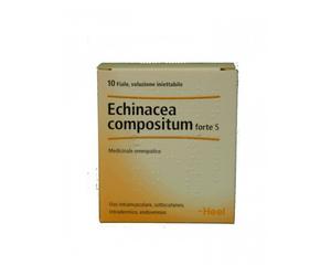 Echinacea Compositum Forte S Heel 10 fiale