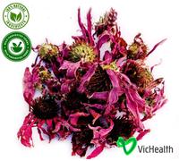 Echinacea flower Tea Herbal per influenza e raffreddore, Echinacea...