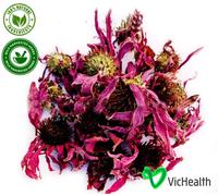 Echinacea flower Tea Herbal per influenza e raffreddore, Echinacea purpurea, ...