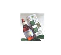 ECHINACEA RX 100ML TM