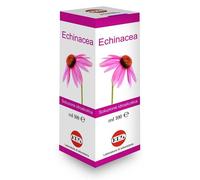 ECHINACEA SOL IAL PIANTA FR100