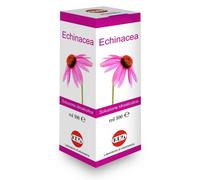 ECHINACEA SOL IAL PIANTA FR100