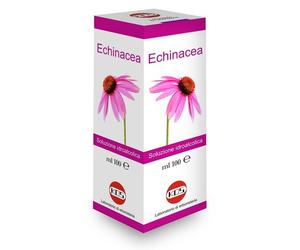 ECHINACEA SOL IAL PIANTA FR100