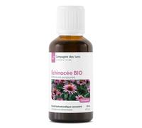 Echinacée BIO (Echinacea Purpurea) - Extrait hydroalcoolique concentré