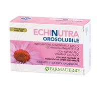 ECHINUTRA OROSOL POLV 12STICK