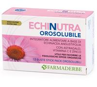ECHINUTRA OROSOLUBILE 12BUST