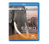 Echo: An Elephant to Remember
