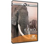 Echo: An Elephant to Remember
