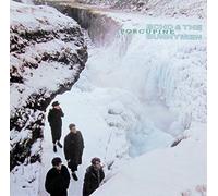 Echo and The Bunnymen - porcupine LP
