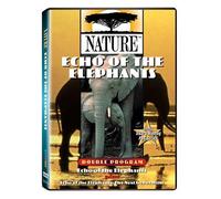 Echo of the Elephants