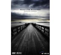 Echo & The Bunnymen - Dancing Horses