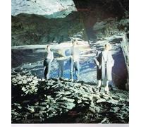 ECHO & THE BUNNYMEN - ECHO & THE BUNNYMEN - SILVER (TIDAL WAVE) 12in (23256)