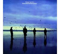 Echo & The Bunnymen - Heaven Up Here