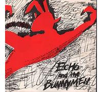 Echo & The Bunnymen - Pictures on my wall [VINYL]