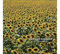 Echo & the Bunnymen - Snapper UK Me I'm All Smiles