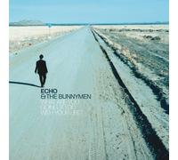 Echo & the Bunnymen What Are You Going to Do With Your Life? (Vinyl LP)