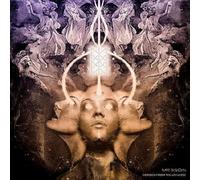 Mr.Bison Echoes from the Universe (Vinyl LP) 12" Album