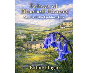 Echoes of Bluebell History: Stories from Dublin’s Past