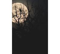 Echoes of October: A hauntingly beautiful Halloween notebook to capture your ideas and seasonal magic