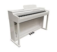ECHORD DPX100 SW SATIN WHITE PIANOFORTE DIGITALE 88 TASTI PESATI BIANCO SATINATO