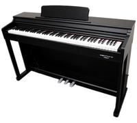 ECHORD ECHORD DPX100 SB SATIN BLACK PIANOFORTE DIGITALE 88 TASTI PESATI NERO SATINATO
