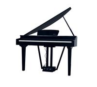 Echord GP10B BLACK Pianoforte Digitale a codino 88T Pesati HAG + Suoni+EFX, Nero