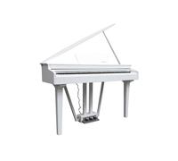 Echord GP10W WHITE Pianoforte Digitale a codino 88T Pesati HAG+Suoni+EFX, Bianco